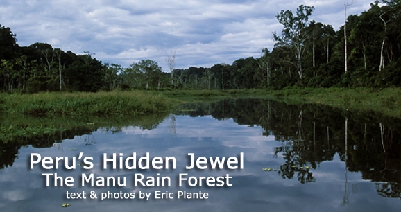 Peru's Hidden Jewel: The Manu Rain Forest